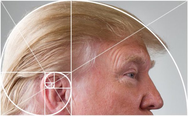 Трамп — Библиотека мемов
