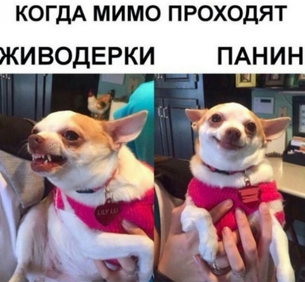 Pornhub Бесплатные Порно Видео и XXX Фильмы