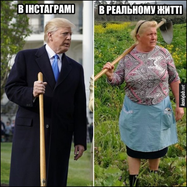 Трамп смешные картинки